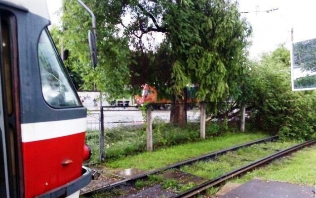 Буря на Днепропетровщине: молния повалила фонарный столб Фото № 1 Буря на Днепропетровщине: молния повалила фонарный столб Фото № 1