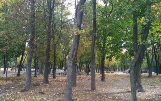 В одном из парков Днепра вырубят полсотни деревьев Фото № 0 В одном из парков Днепра вырубят полсотни деревьев Фото № 0