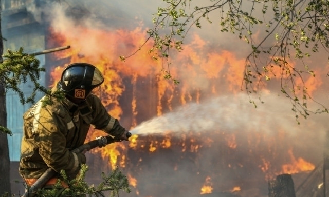 На Днепропетровщине пожары уничтожают лес 