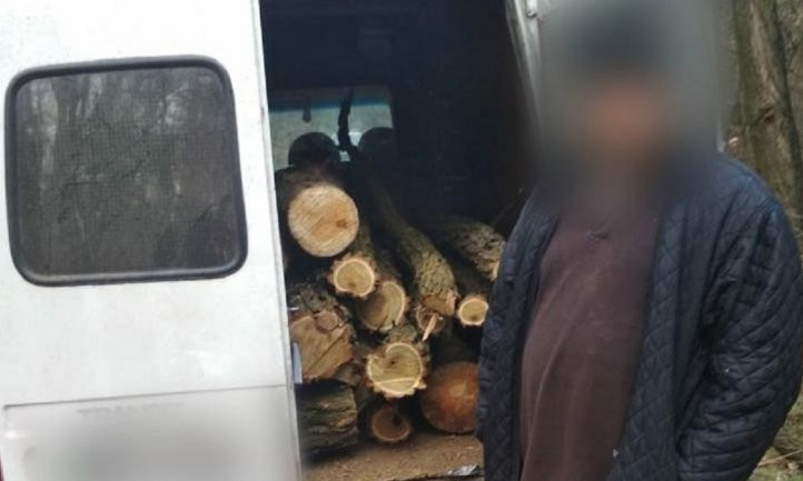 На Днепропетровщине полиция задержала "черного лесоруба"