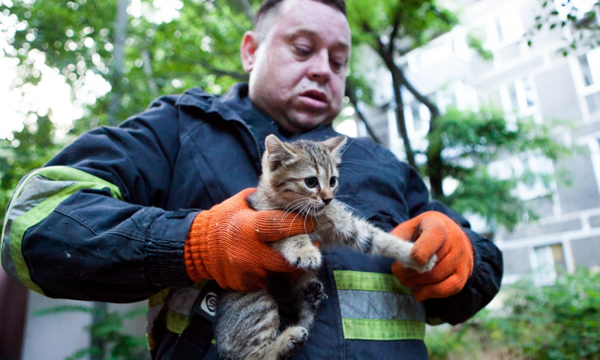 Героический Днепр: спасенный котенок прокусил палец спасателю