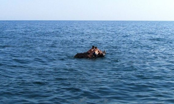 Опасный отдых: жителей Днепра унесло в море на надувном матрасе