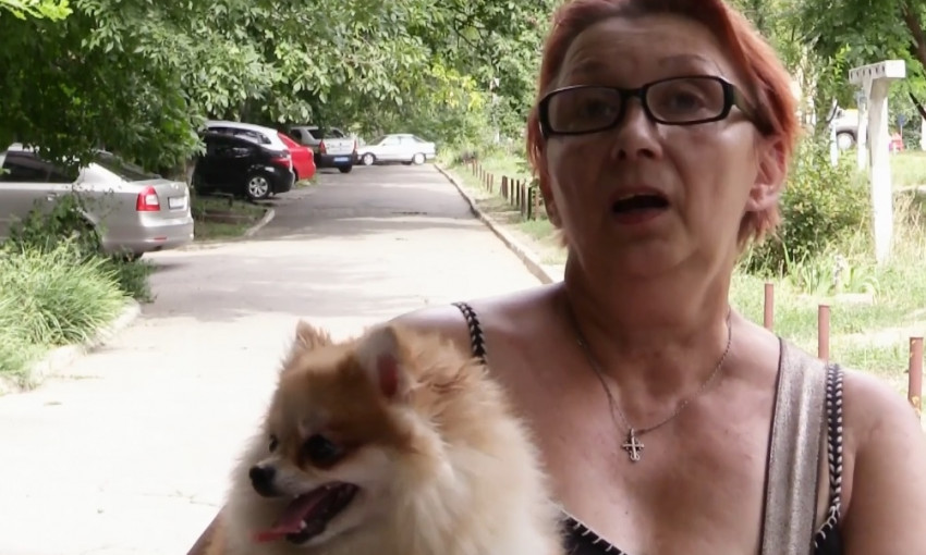 На Днепропетровщине догхантеры присылают собаководам записки с угрозами