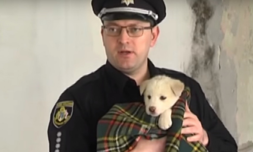 В Днепре полиция помогает спасать щенков 