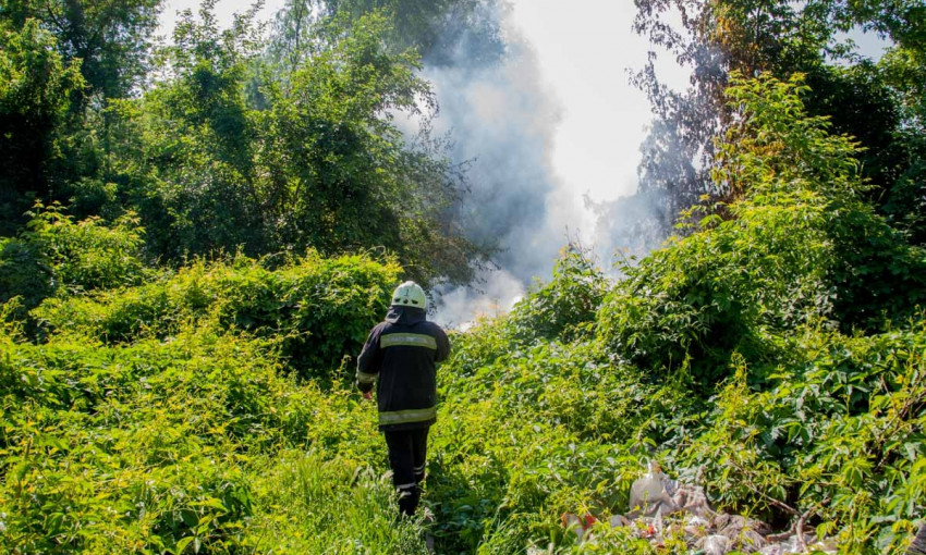 Пожар в Днепре: сотрудники ГСЧС тушили мусор 