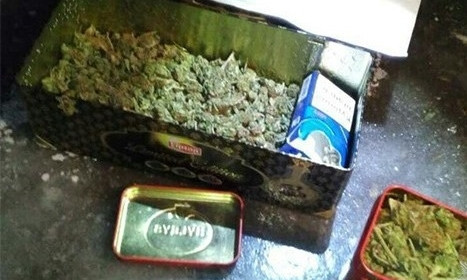 Житель Днепропетровщины хранил марихуану в чайных коробках 