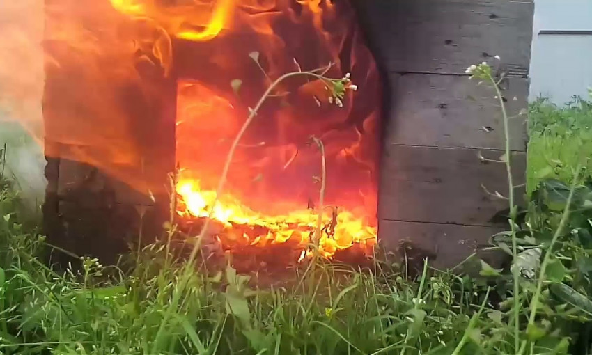 На Днепропетровщине живодеры подожгли собачьи будки 