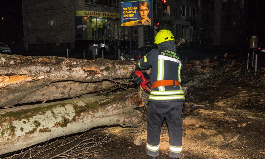 Древопад в Днепре:  из-за погоды падали аварийные деревья