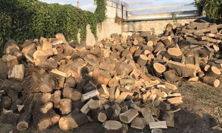 Житель Днепропетровщины незаконно промышлял вырубкой деревьев