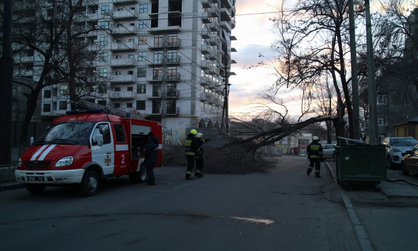 Древопад в Днепре: аварийное дерево перегородило проезд