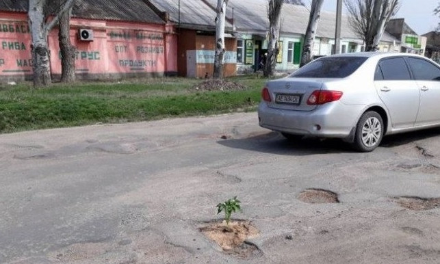 Цветочно-растительный ремонт на Днепропетровщине: автомобилистов смешат дороги