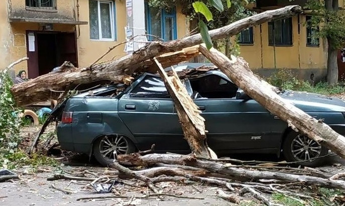 Ураган на Днепропетровщине: из-за древопада обесточило дома 