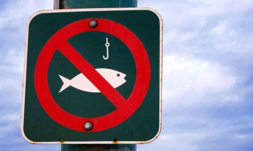 На Днепропетровщине временно запретят ловить рыбу