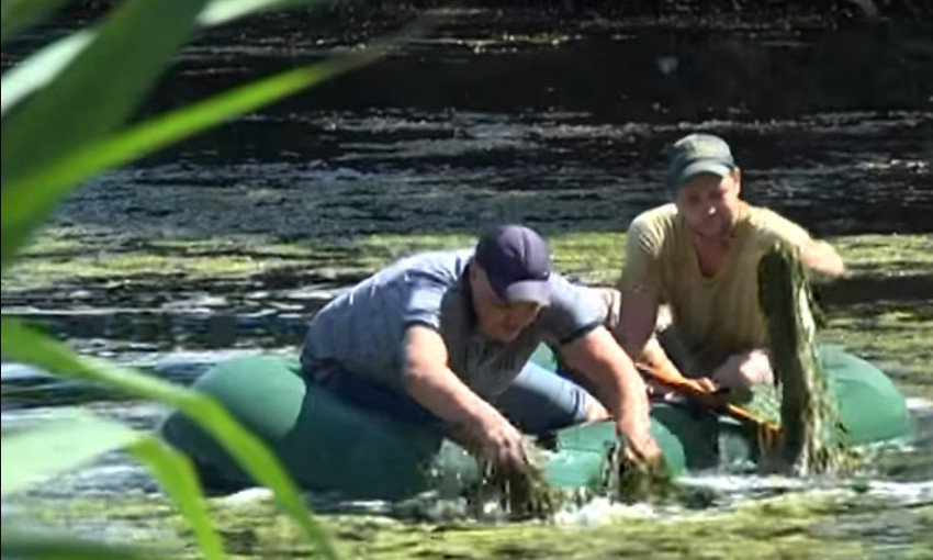 Жители Победы очищают озеро от водорослей
