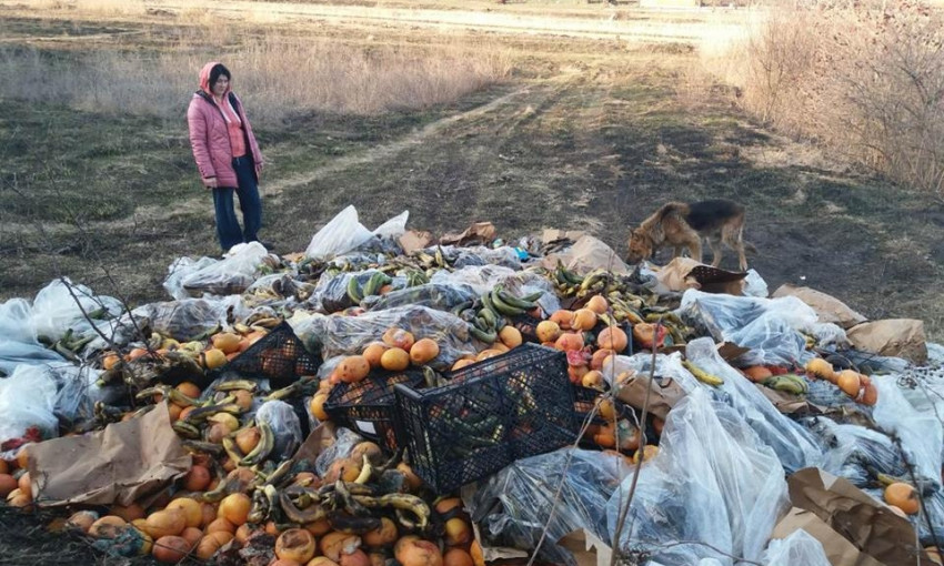 Под Днепром возле частных огородов выбросили грузовик гнилых продуктов