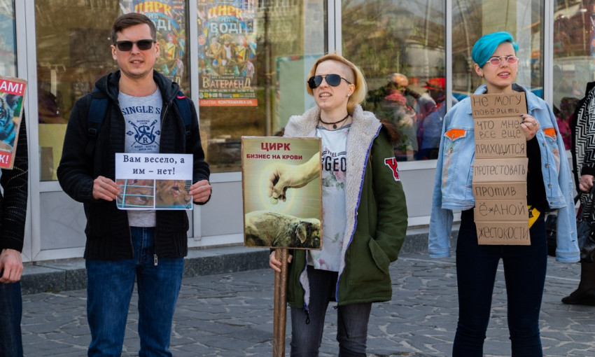 В Днепре зоозащитники устроили митинг возле цирка 