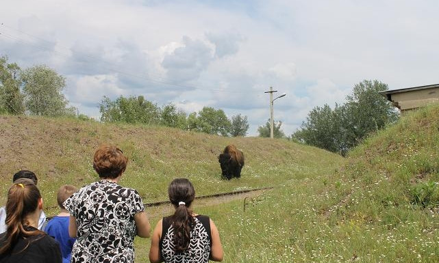 На Химзаводе Днепропетровщины дети видели бизона