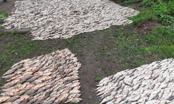 На Днепропетровщине у браконьеров конфисковали почти тонну рыбы