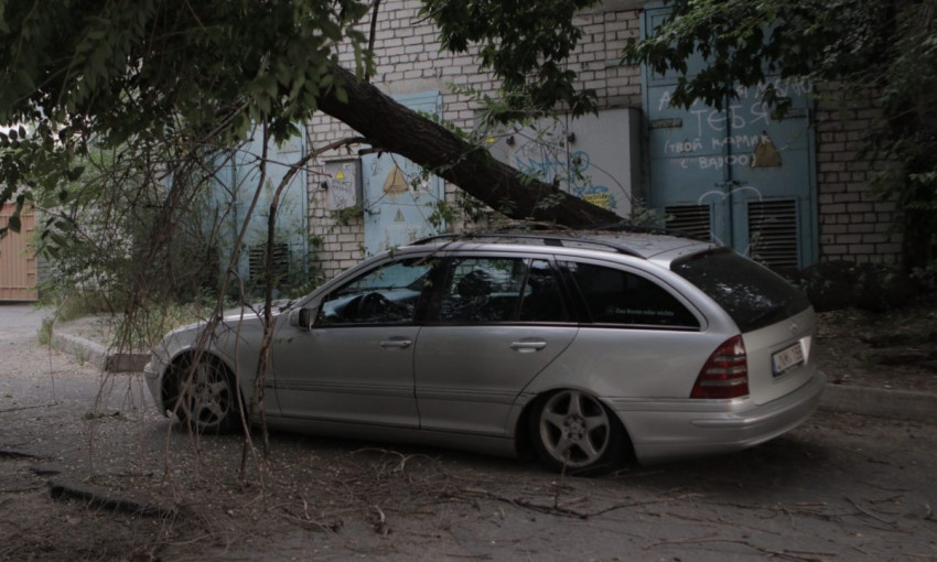 Древопад в Днепре: аварийное дерево рухнуло на автомобиль