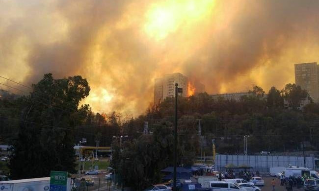 Пожарные Днепра отправились тушить пожар в Израиле 