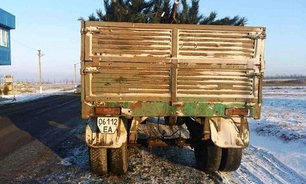 Незаконная перевозка елок на Днепропетровщине