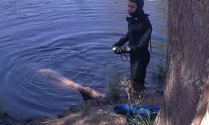 Днепр утонула. Утонул парень в Днепре в Запорожской области на войне. Трупы в реке Ижора фото.