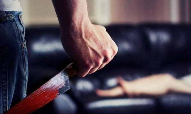 Житель Днепропетровщины зарезал жену кухонным ножом 
