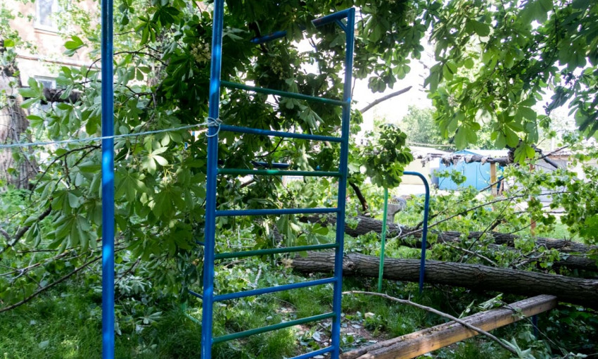 Древопад в Днепре: дерево упало на детскую площадку