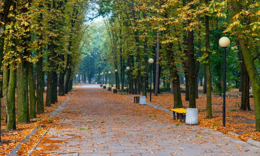 Осенний Днепр: как выглядит сентябрьский парк Шевченко 