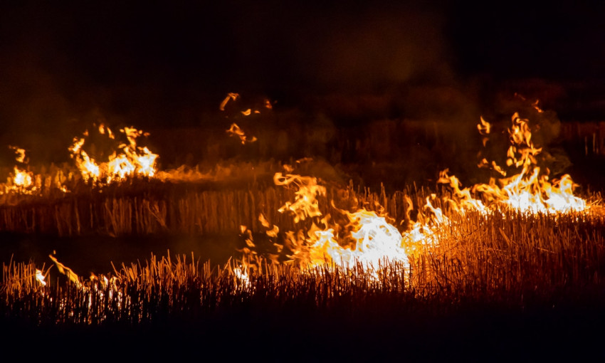 Пожар в Днепре: в районе Игрени горело поле 