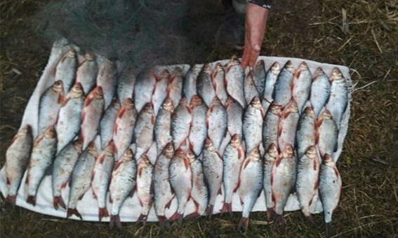 На Днепропетровщине браконьер ловил рыбу незаконным способом 