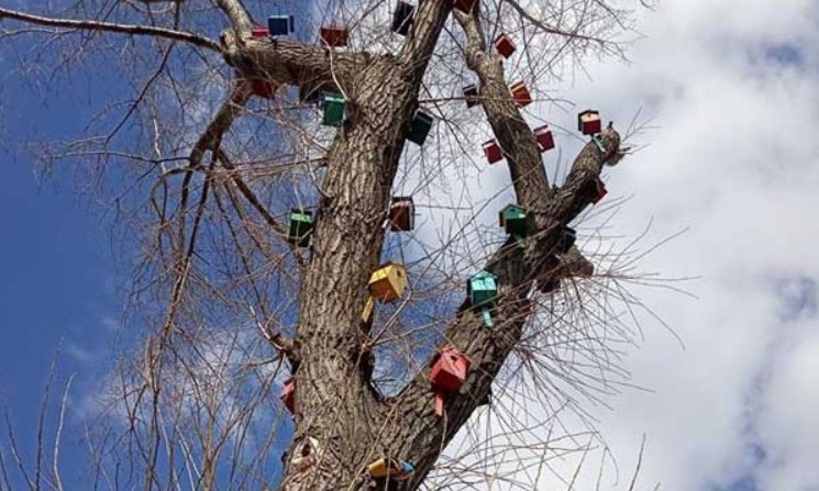 Жители Днепропетровщины сделали "птичий отель" на дереве 