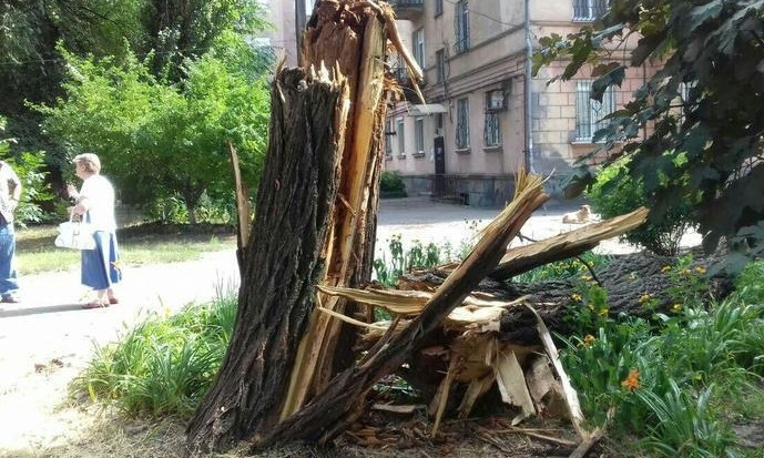 На Днепропетровщине упавшее дерево повредило газовую трубу 