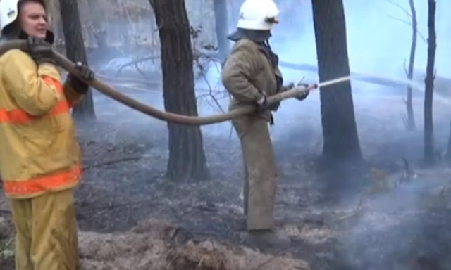 Пожар на Днепропетровщине: сотрудники ГСЧС тушили лесхоз 