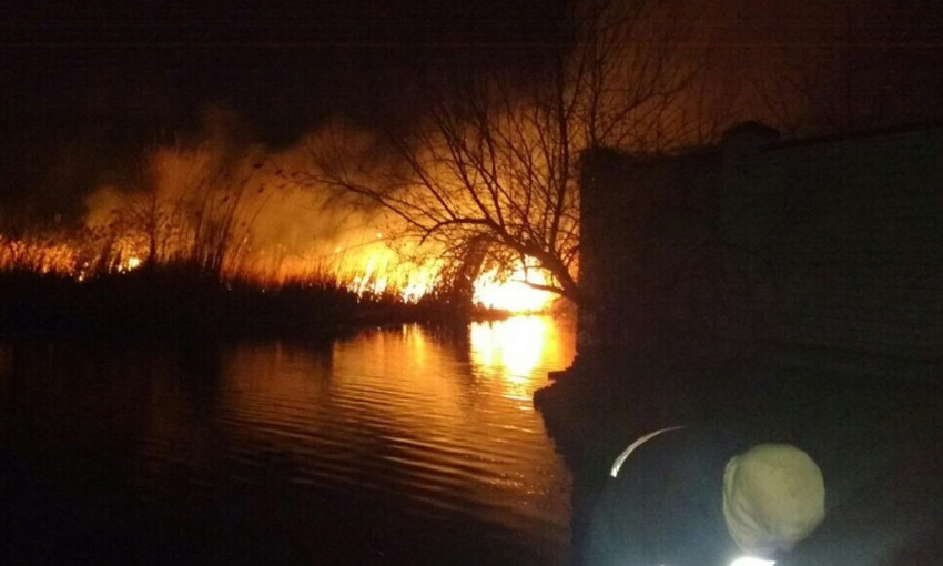 Пожар на Днепропетровщине: сотрудники ГСЧС тушили сухостой 
