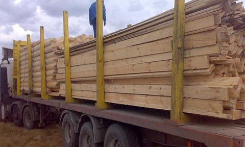На Днепропетровщине незаконно перевозили древесину 