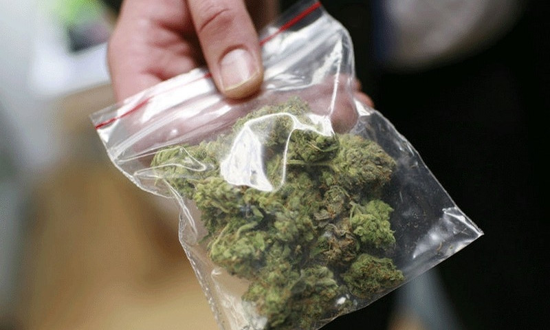 В регионе у мужчины обнаружили марихуану и патроны 