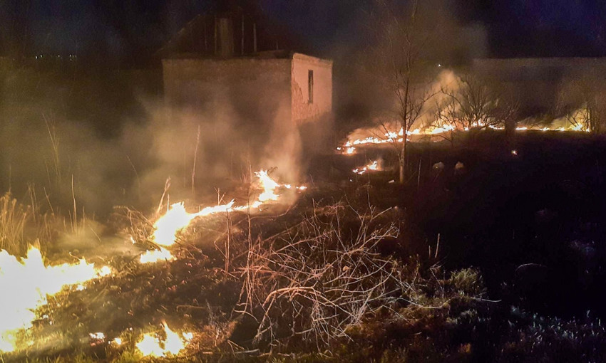 Пожар в Днепре: возле заправки загорелись камыши 