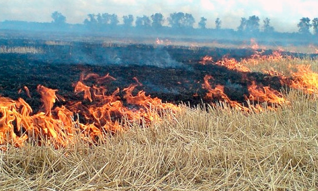 На Днепропетровщине чуть не сгорел урожай 
