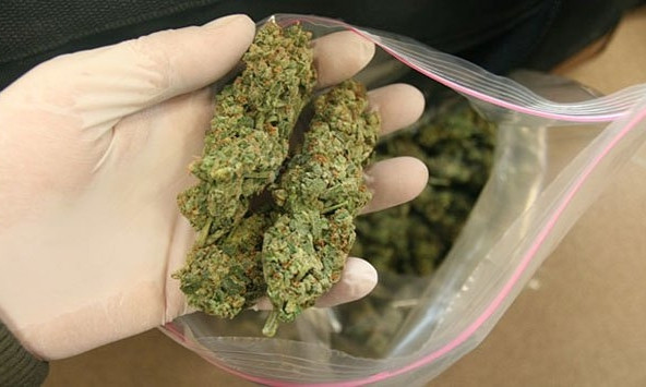 У жителя Днепропетровщины нашли два килограмма марихуаны
