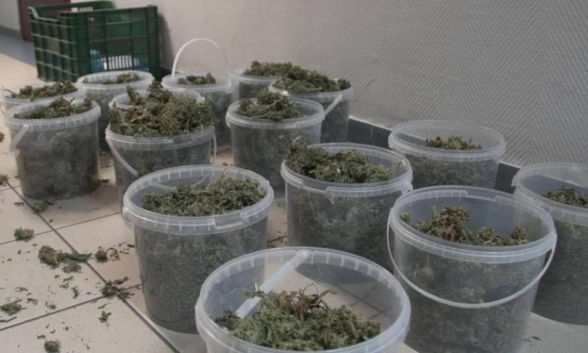 Житель Днепропетровщины хранил 20 килограммов марихуаны