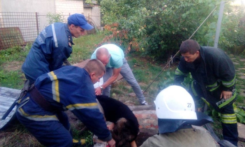 На Днепропетровщине спасатели достали собаку из колодца 