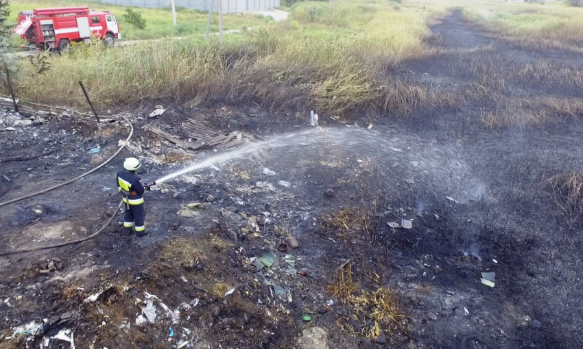 Пожар в Днепре: сотрудники ГСЧС тушили камыши