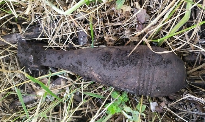 На Днепропетровщине в лесополосе нашли боеприпасы 