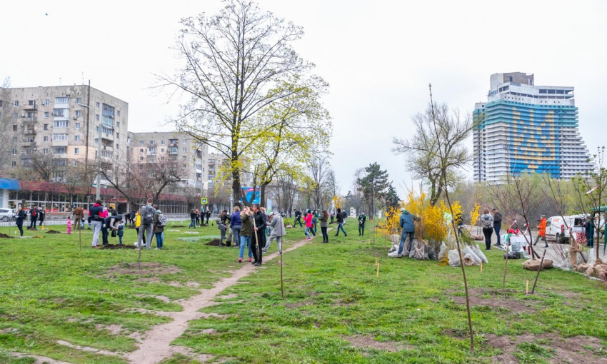 В Днепре активисты высадили деревья на набережной 