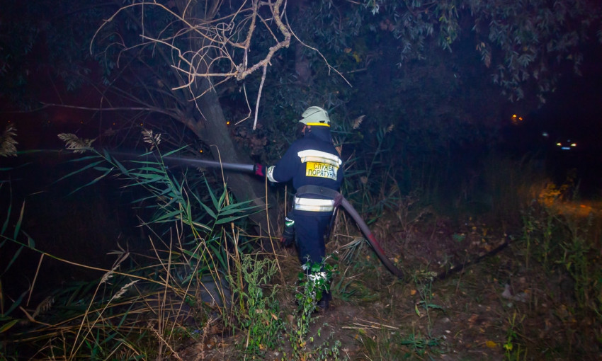 Пожар в Днепре: сотрудники ГСЧС тушили деревья и камыш