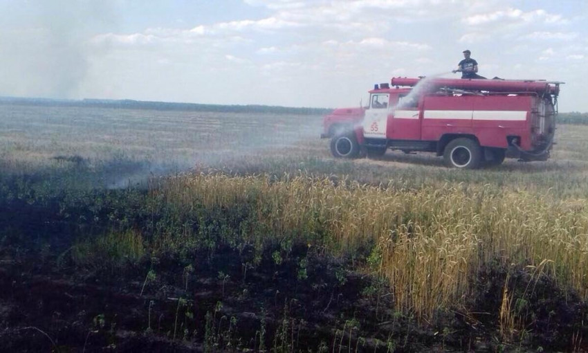 Пожар на Днепропетровщине: сгорело 20 га пшеницы 