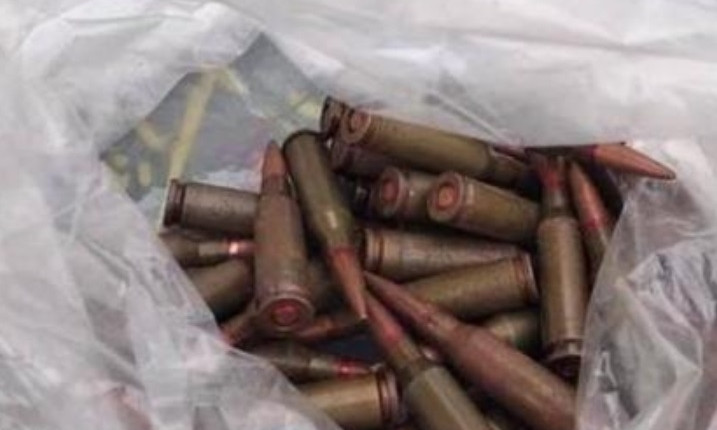 На Днепропетровщине правоохранители изъяли 113 патронов и оружие