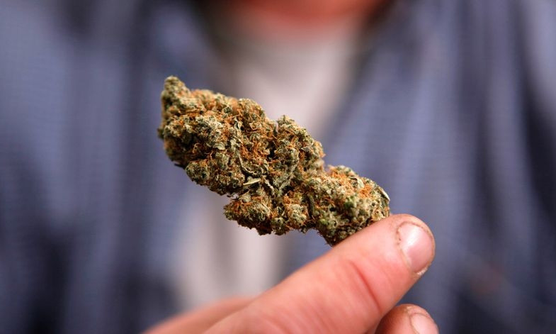 На Днепропетровщине у мужчины нашли марихуану 