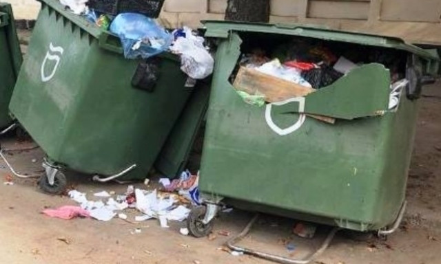 Михаил Лысенко рассказал о случаях уничтожения мусорных баков 